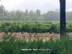 -龙谕酒庄