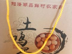 -品鲜村农家菜·阳澄湖大闸蟹(总店)