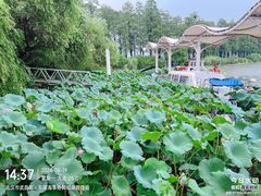 -东湖生态旅游风景区