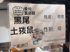 -瑞虹新天地月亮湾