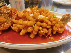 -太湖明珠大酒店(吴中店)