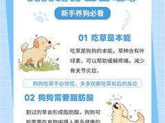 -lincat·猫舍(广州店)