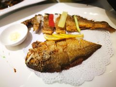 -骏莱海鲜鱼港(五角场店)