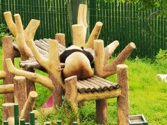 -沈阳森林动物园