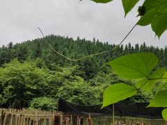 -常德桃花源景区