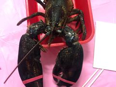 -阿兴生鱼片(大光路店)
