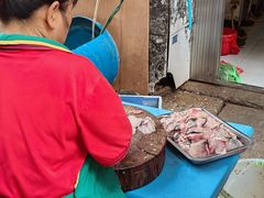 -四星望月(中联店)