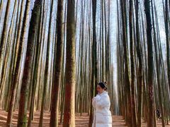 -山王坪喀斯特国家生态公园