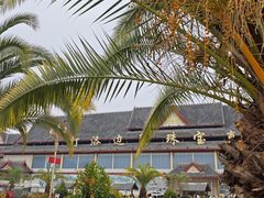 -打洛口岸