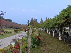 -苏州上方山国家森林公园