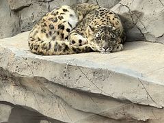 -青藏高原野生动物园