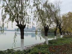 -天鹅湖体育公园
