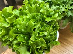 -青瓷火锅料理(西单大悦城店)