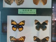 -上海昆虫博物馆