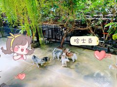 -TrueLove @ Neverland (Husky Cafe)