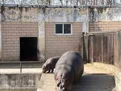 -合肥野生动物园