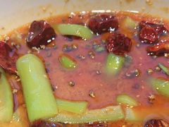 -杨氏青龙虾·羊蝎子(金盛路总店)