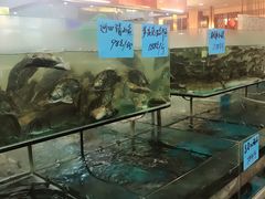 -钓台野鱼馆(钱江国际时代广场店)