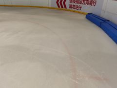 -陈露国际冰上中心(天津嘉里汇店)