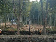 -东明山森林公园