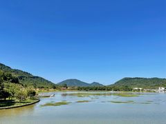 -风云岭森林公园