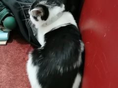 -申普宠物医院·眼科·心内科·影像科(普陀分院)