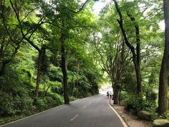 -南岳衡山风景名胜区