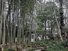 -秋霞圃