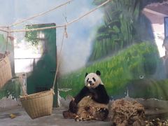 -无锡动物园·太湖欢乐园