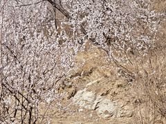 -白水寺森林公园