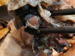 -农汤老店(顺联公园里店)