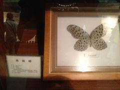 16.1-上海大自然野生昆虫馆