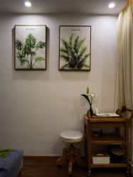 点击看大图 -薇薇安花系SPA