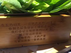 -卢大鲜鱼头捞饭(美利广场店)