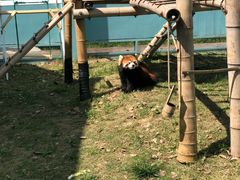 -无锡动物园·太湖欢乐园