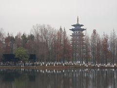 -洋湖国家湿地公园
