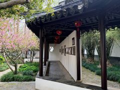 -上海醉白池公园