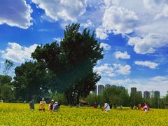 -长白岛森林公园