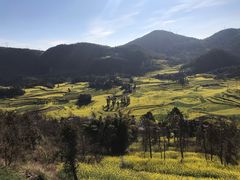 -牛街螺丝田