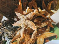 小海鲜-鑫海汇海鲜烤肉自助(北国商城店)