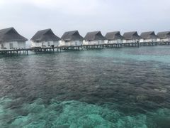 -中央格兰德岛温泉度假酒店 - 全包