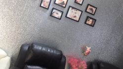 -LEILEI NAIL蕾蕾美甲美睫