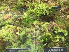 -国家植物园南园