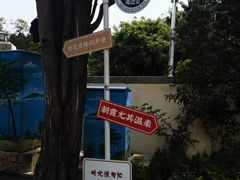 -八大关景区