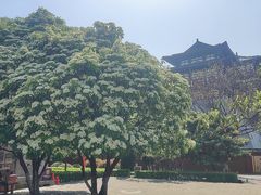 -洛阳周公庙博物馆