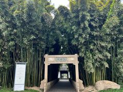-采石矶景区