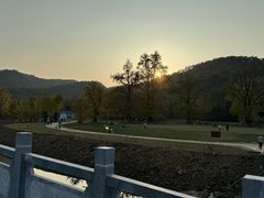 -千年银杏谷文化旅游区