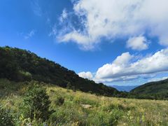 -白草畔自然风景区