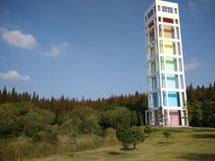 -东平国家森林公园