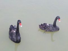 2012-10-03_12-40-01_908-苏州太湖国家湿地公园